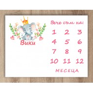 Платно за месечинки - Слонче