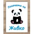 Платно за погача - Панда момче