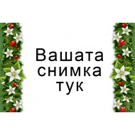 ДЖОБНО КАЛЕНДАРЧЕ - Коледна звезда - 10 БР
