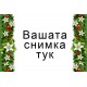 ДЖОБНО КАЛЕНДАРЧЕ - Коледна звезда - 10 БР