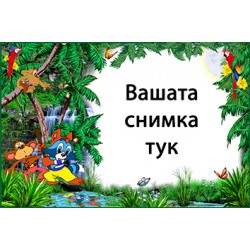 Джобно Календарче - Джунгла - 10 бр.