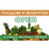 Джобно календарче - Плодове и зеленчуци 1000 бр.
