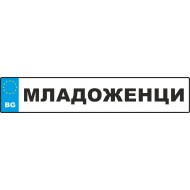 Сватбен номер за кола - Младоженци (2)