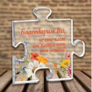 Плексигласов пъзел 10